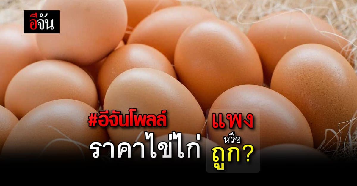 อีจันโพลล์ สำรวจความมั่นใจ ปริมาณ และ ราคาไข่ไก่ ?