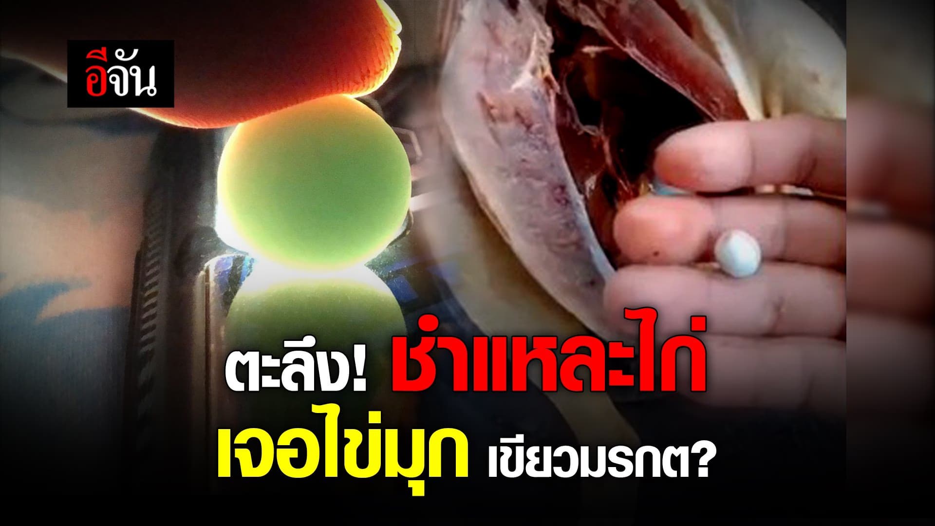 (Video) ตะลึง! ชำแหละไก่ เจอไข่มุก เขียวมรกต?