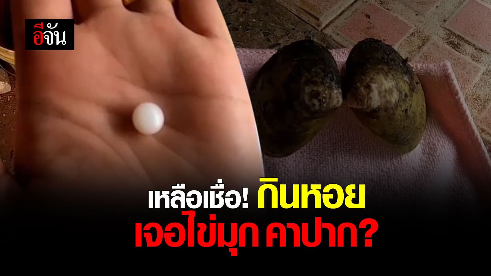 (Video) เหลือเชื่อ! กินหอย เจอไข่มุก คาปาก?