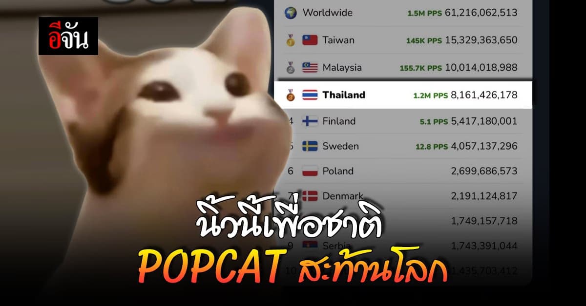 ศึกสนั่นโลก! POPCAT กดแมวอ้าปาก ชาวเน็ตไทยหวังอันดับ 1 ของโลก