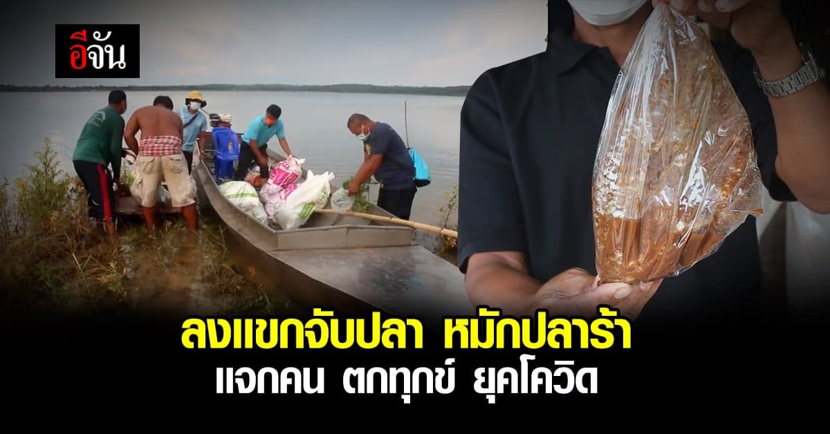 หมักปลาร้า ช่วยเหลือ คนตกทุกข์ ยุคโควิด