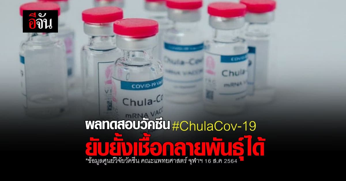 จุฬาฯ เผย ผลทดสอบ วัคซีน ChulaCov-19 ระยะแรก ยับยั้งเชื้อกลายพันธุ์ได้