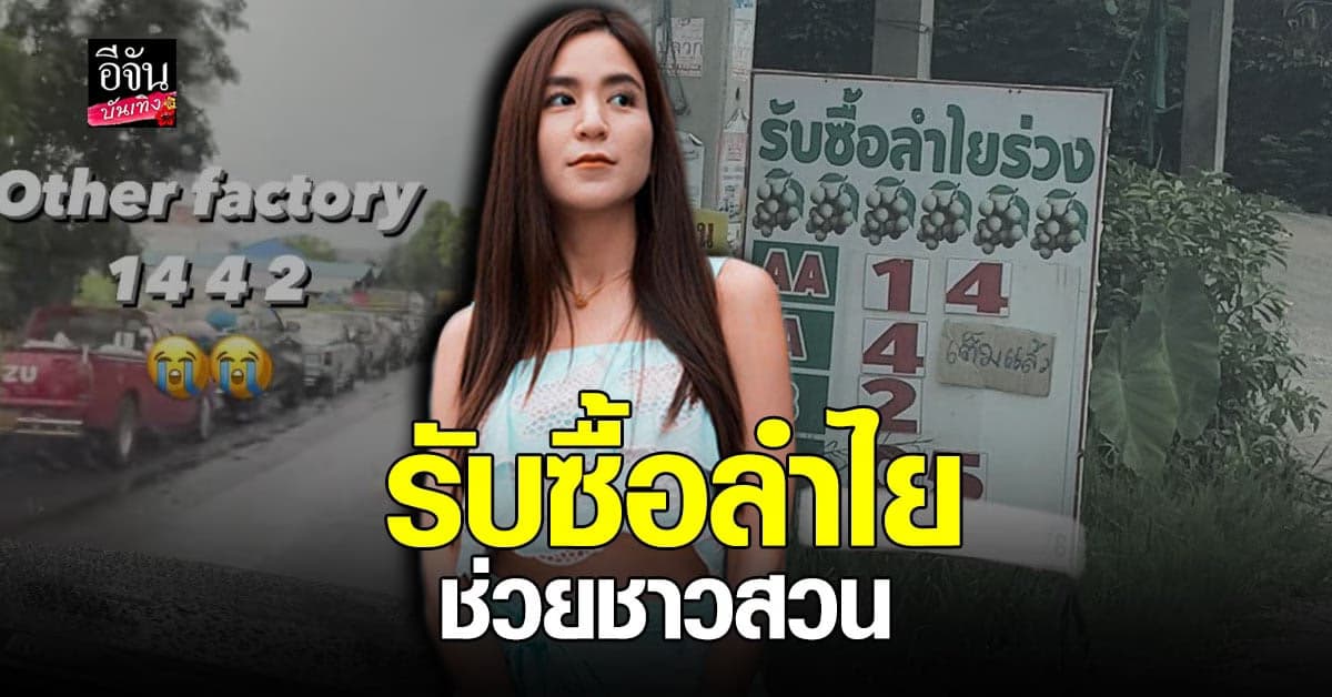 ต่อคิวยาวเกือบ 2 กิโล สามี พลอย ชิดจันทร์ ช่วยชาวสวน รับซื้อลำไย