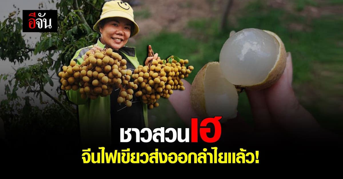 มีหวังไฟเขียวเเล้ว ส่งลำไยไปจีน  56 ล้งผ่านมาตรฐาน/สามามารถส่งไปจีนได้