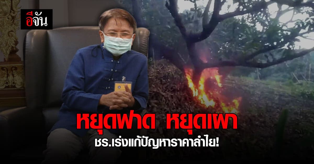 เชียงรายไม่ทน จับมือ เอกชน ร่วมเอกชน แก้ปัญหา ราคาลำไยตกต่ำ