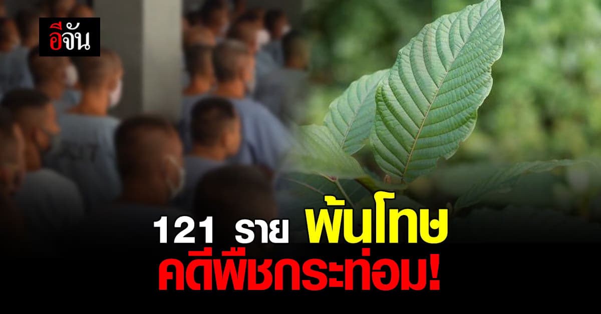 กรมราชทัณฑ์ พร้อมปล่อยนักโทษ คดีพืชกระท่อม 121 ราย