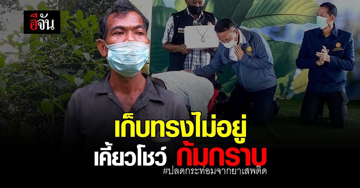 คอกระท่อม ชาวบ้านนครศรีฯเฮ หลังกระท่อม ปลดล็อกยาเสพติด