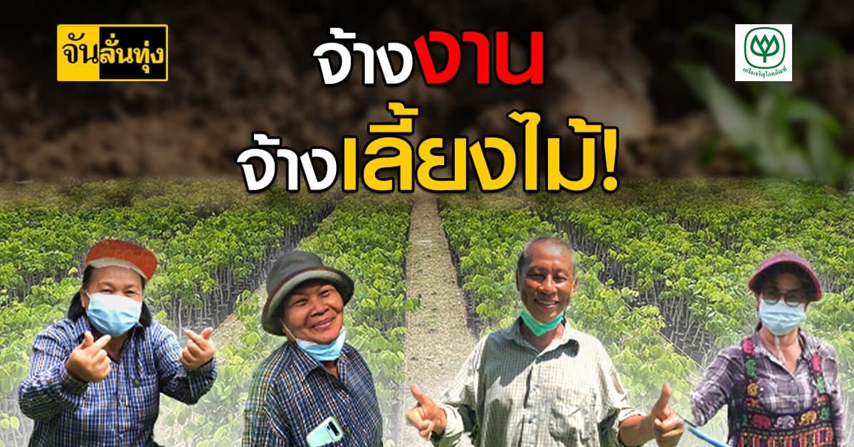 ซีพี ชวนเกษตรกรชลบุรีเข้าโครงการ จ้างงานเลี้ยงกล้าไม้ สร้างรายได้
