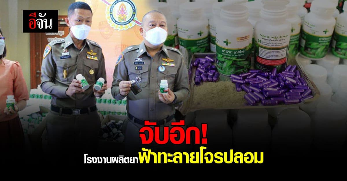 จับฟ้าทะลายโจรปลอม! ยี่ห้อ ดอกบัวตอง