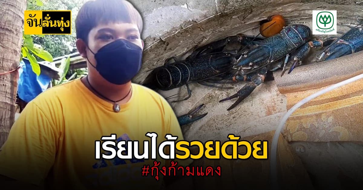 หนุ่ม ม.6 เลี้ยง กุ้งก้ามแดง ช่วงเรียนออนไลน์ พร้อมขยายฐานสู่อาชีพหลัก