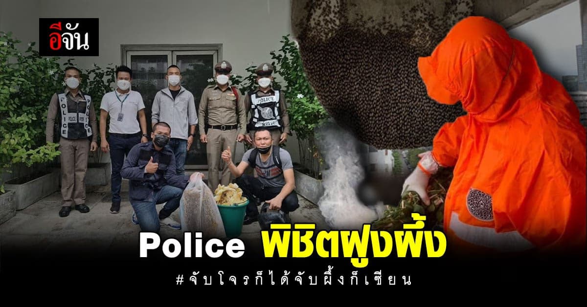 ผึ้งรังโต พี่ police ไทย จัดการเอง ทำให้ได้ทุกอย่าง