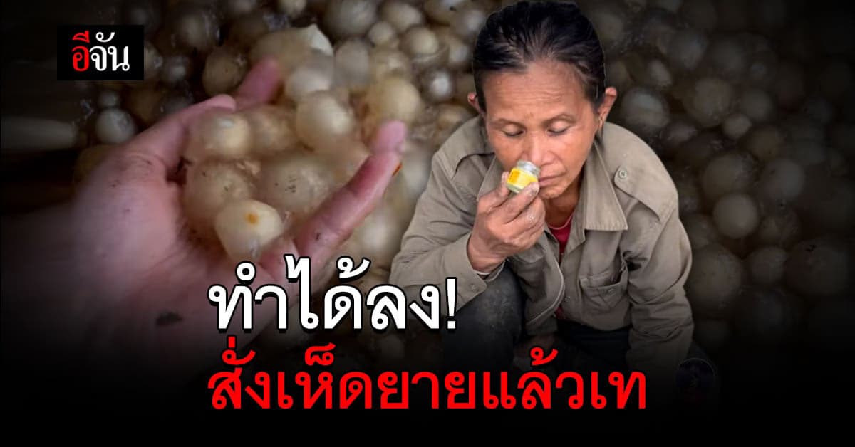ยายลมแทบจับ! โดนเทออเดอร์เห็ดตาโล่