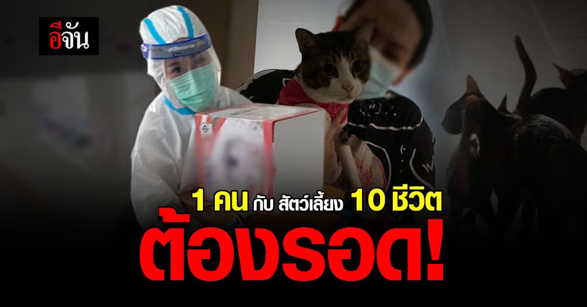 1 คน แบกสัตว์เลี้ยง 10 ชีวิต มีก็กินด้วยกัน อดก็อดด้วยกัน