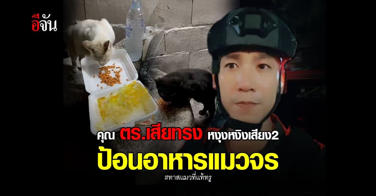 เก็บทรงไม่อยู่ ตำรวจเสียงสอง ป้อนอาหารเเมวจร สุดน่ารัก