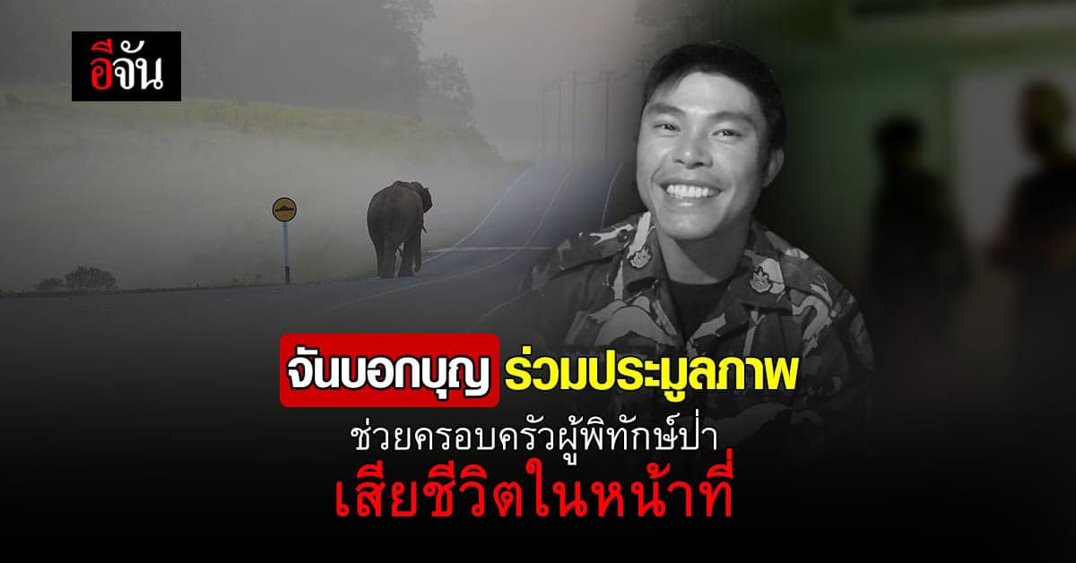 จันชวนลูกเพจ ร่วมประมูลภาพ ช่วยครอบครัวผู้พิทักษ์ป่าเสียชีวิตในหน้าที่