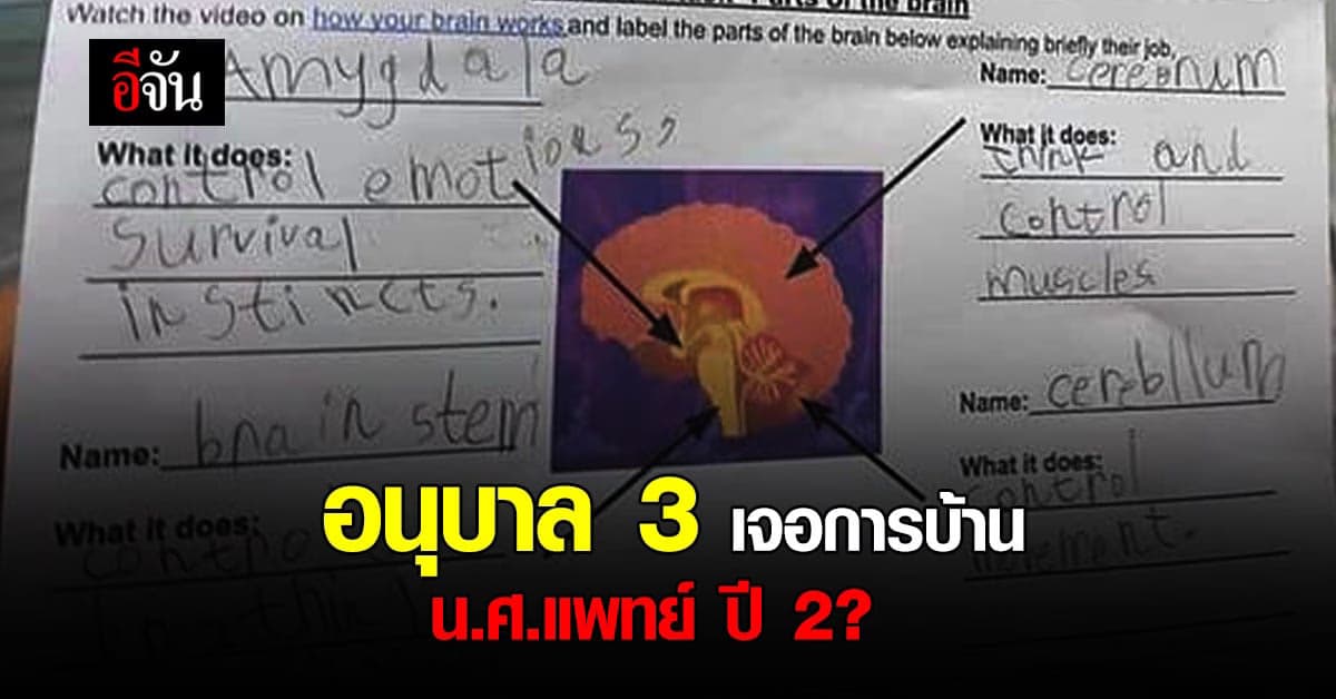 สุดงง? อนุบาล 3 เจอการบ้าน นักศึกษาแพทย์ ปี 2  เนื้อหาวิชา สรีรวิทยา
