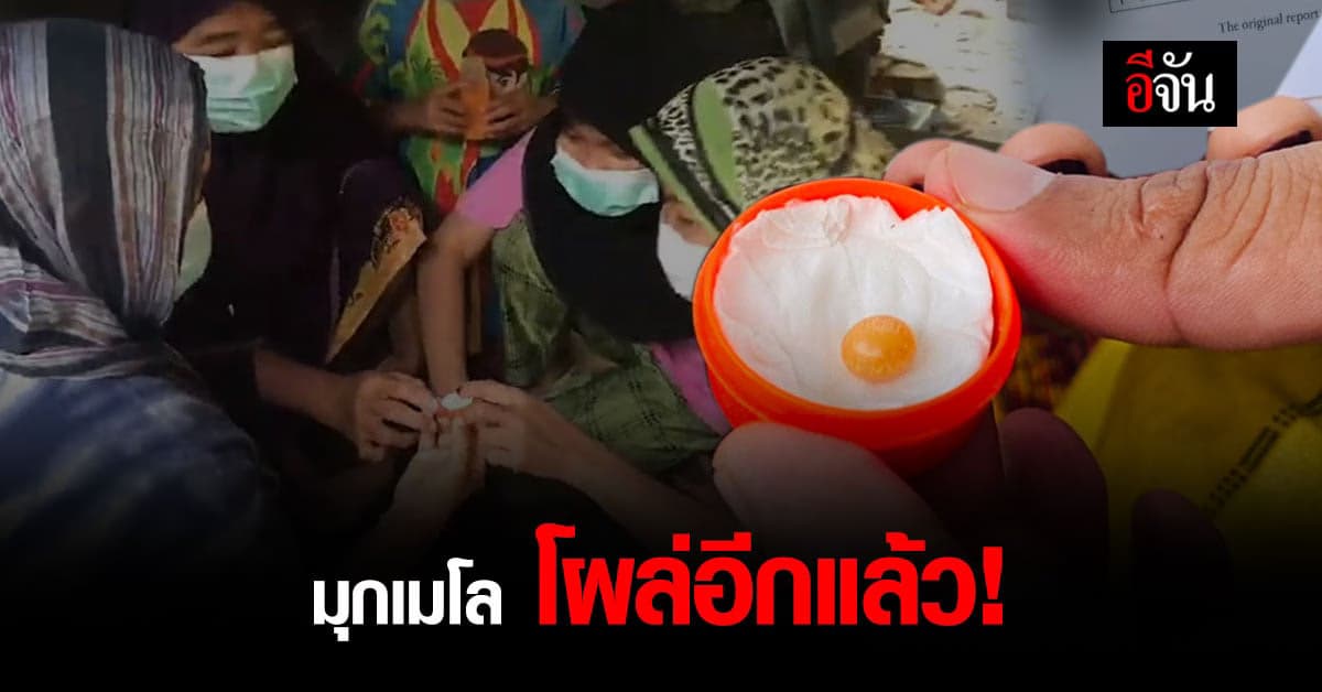 มุกเมโล โผล่กระบี่! แม่ค้าอาหารตามสั่งเจอในหอยโข่ง