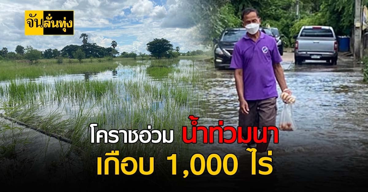 พายุโซนร้อนทำพิษ โคราชอ่วม น้ำท่วมนาเกือบ 1,000 ไร่