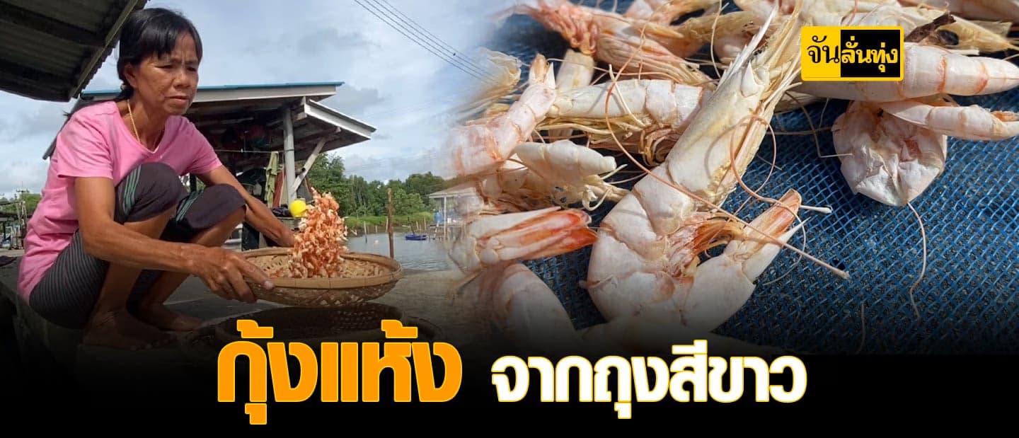 เหวี่ยงแล้วทุบ กุ้งแห้งคุณภาพดี จากถุงสีขาว