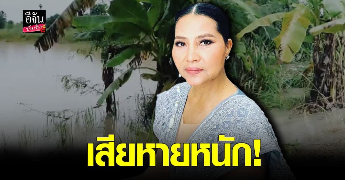 สุนารี โอด พื้นที่นาสวน เสียหายกว่า 80 ไร่ หลังถูกน้ำท่วมฉับพลัน