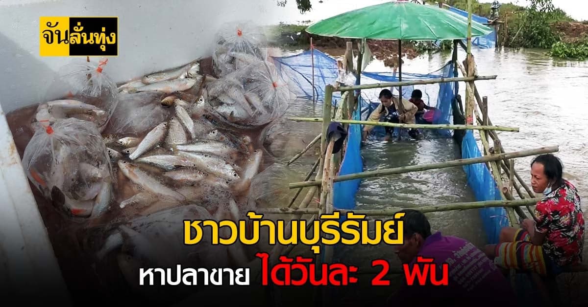 หน้าน้ำหลาก ชาวบ้านบุรีรัมย์ หาปลาขาย ได้วันละ 2,000 บาท