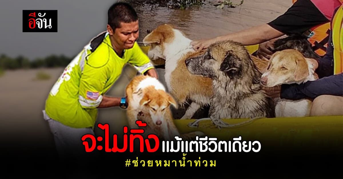 กู้ภัยพายเรือ พาทั้งคนทั้งหมา หนีตายน้ำท่วม