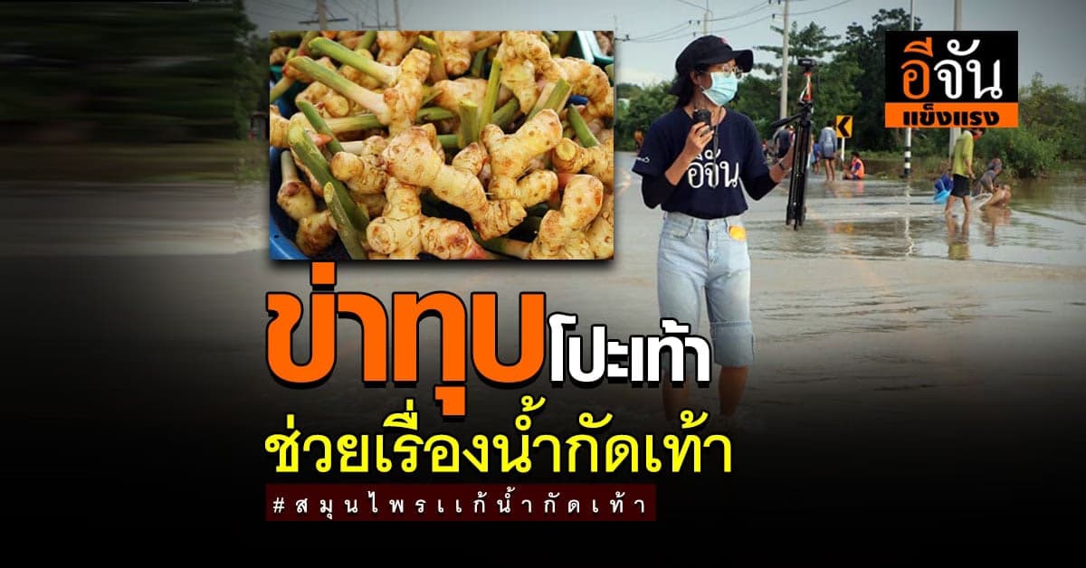 น้ำท่วม เสี่ยงเท้าเปื่อย ใช้สมุนไพรช่วยได้