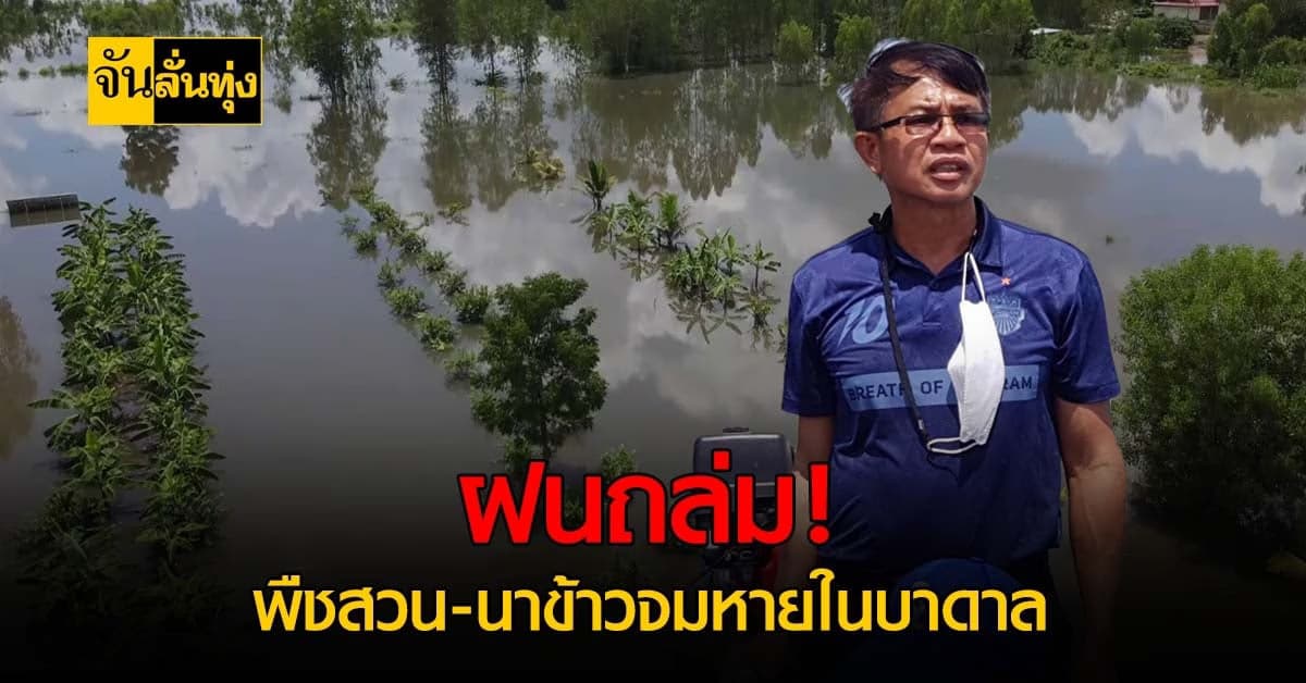 เกษตรกรช้ำหนัก น้ำซัดพังนาข้าว-สวนผลไม้จมบาดาล