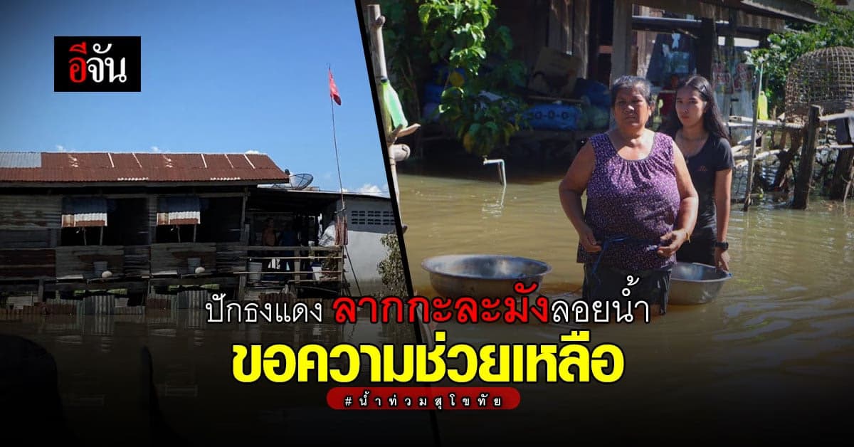 สุโขทัย น้ำท่วมหนัก ปักธงแดง ขอความช่วยเหลือ