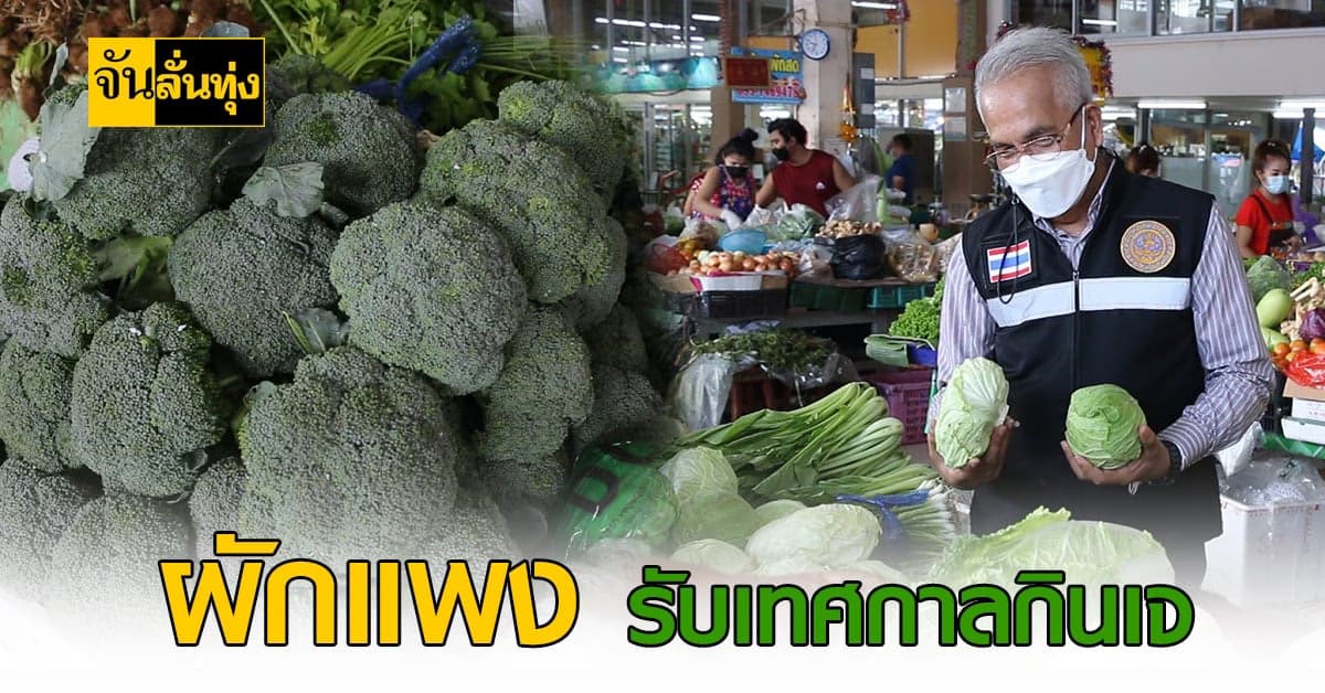 ราคาผักเริ่มแพงขึ้น ต้อนรับ เทศกาลกินเจที่กำลังจะมาถึง