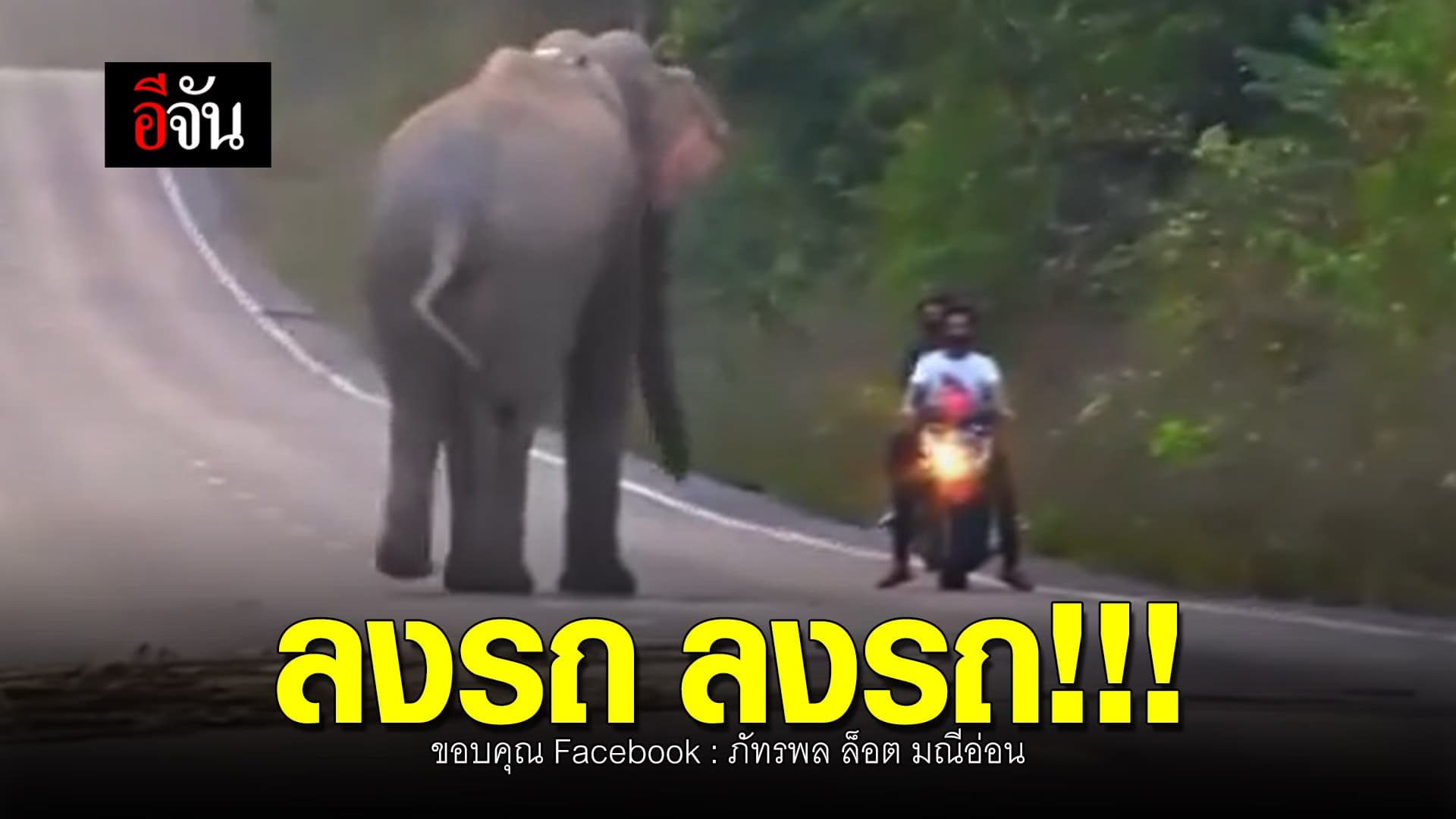 (Video) ลงรถ ลงรถ!!! วินาทีชีวิต ช้างป่าพุ่งเข้าใส่มอเตอร์ไซค์