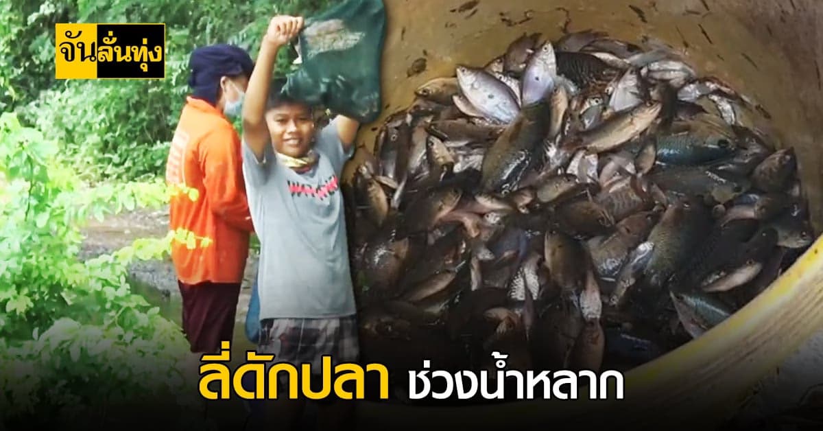ช่วงนี้ไทยน้ำหลาก ชาวบ้านโคราช ทำลี่มาดักปลา หารายได้