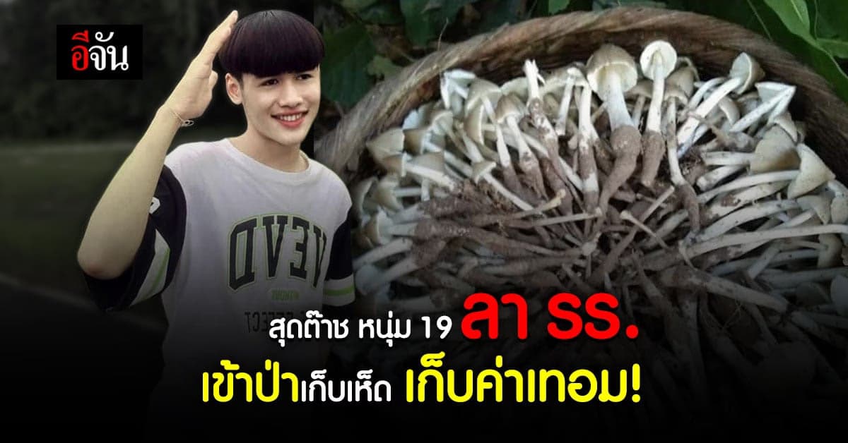 หนุ่มอุบลฯ คว้าโอกาสช่วงหน้าเห็ด เข้าป่าเก็บเห็ด เก็บเงินหมื่น