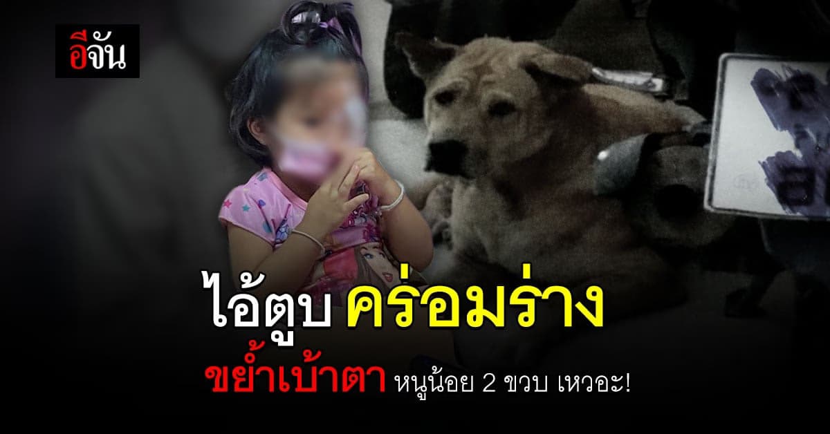 พ่อแม่ร้องปวีณา! ลูก 2 ขวบโดนหมากัดเสี่ยงตาบอด เจ้าของลั่นไม่รับผิดชอบ