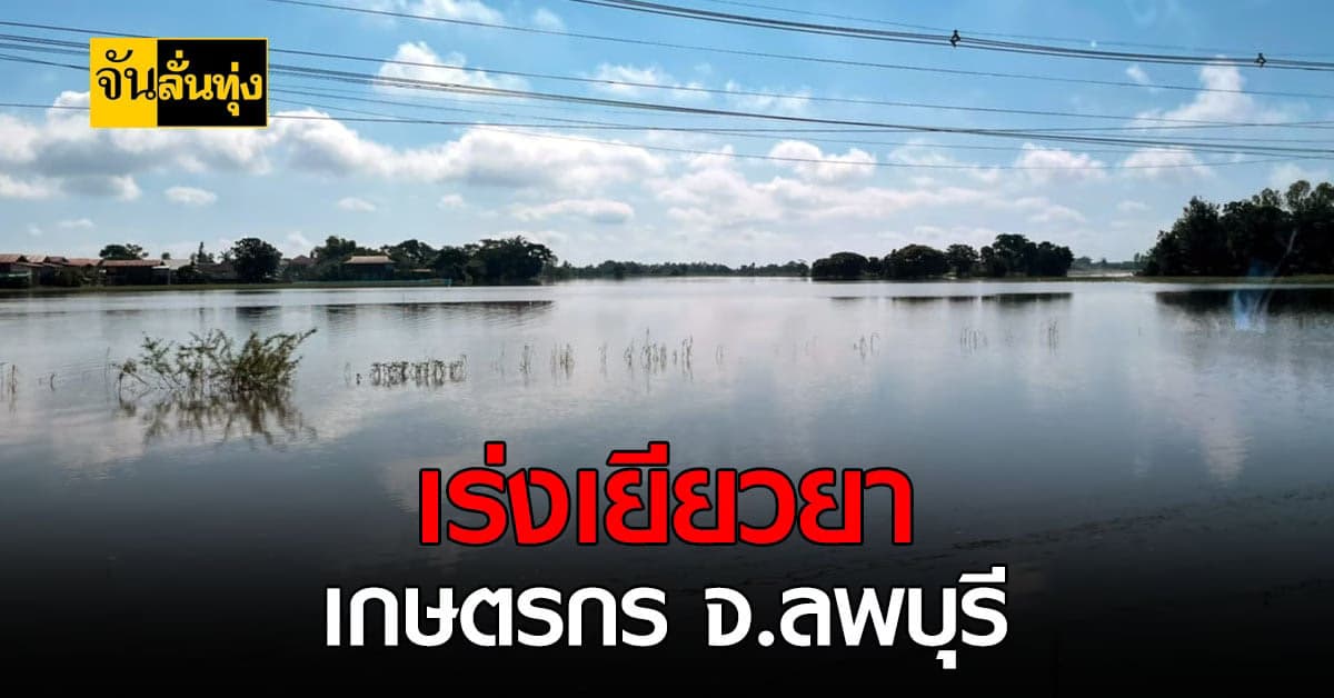 กรมส่งเสริมการเกษตร เร่งเยียวยาเกษตรกร จ.ลพบุรี