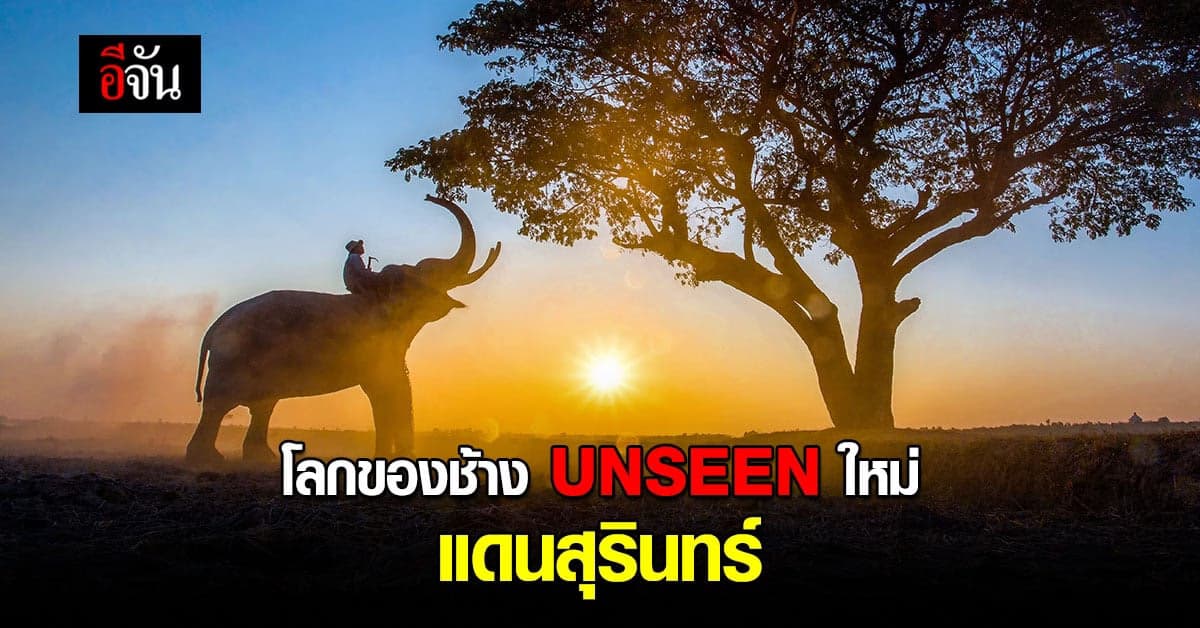 UNSEEN ใหม่ หมู่บ้านช้างตากลาง ที่ใหญ่ที่สุดในโลก จ.สุรินทร์