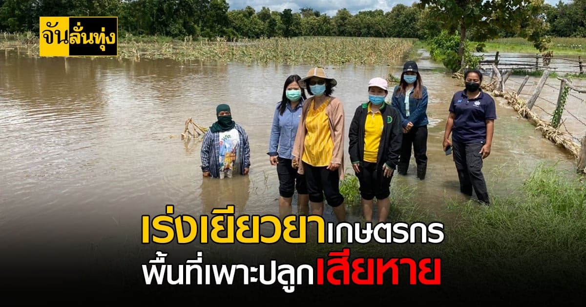 กรมส่งเสริมการเกษตร เร่งเยียวยา เกษตรกรหลังน้ำลด