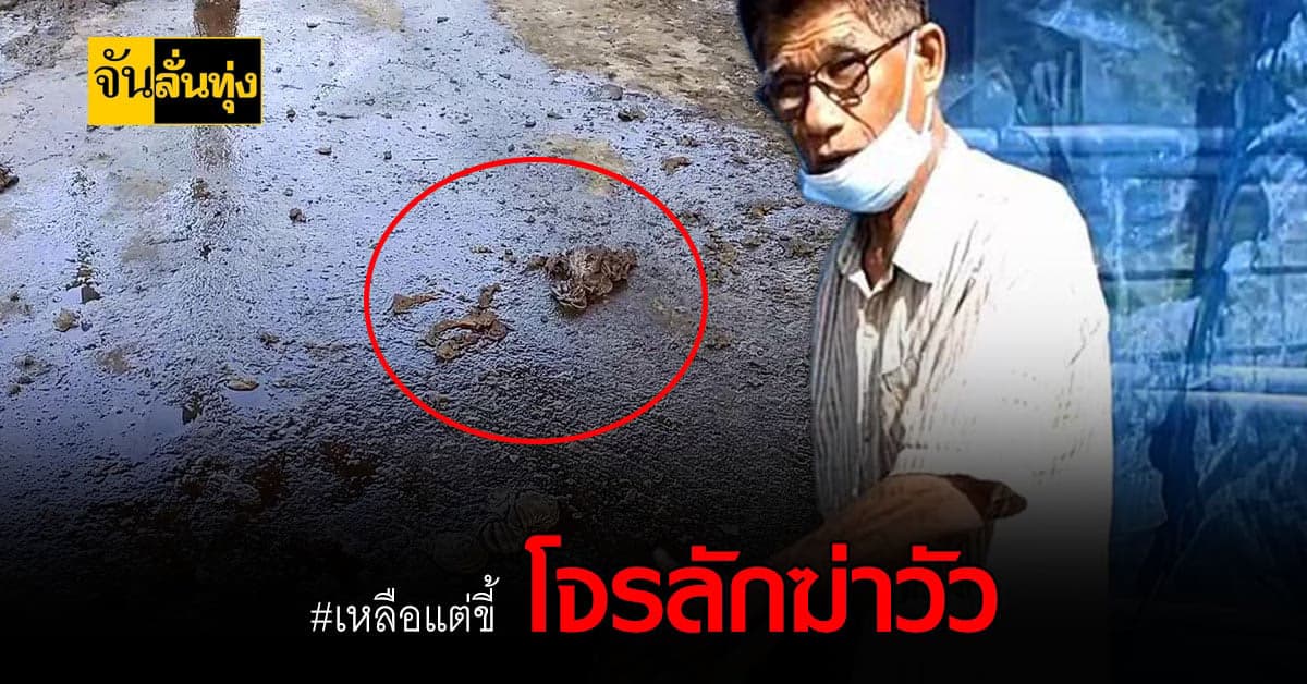 ซ้ำเติมน้ำท่วม โจรใจบาป ลอบลักฆ่าวัว