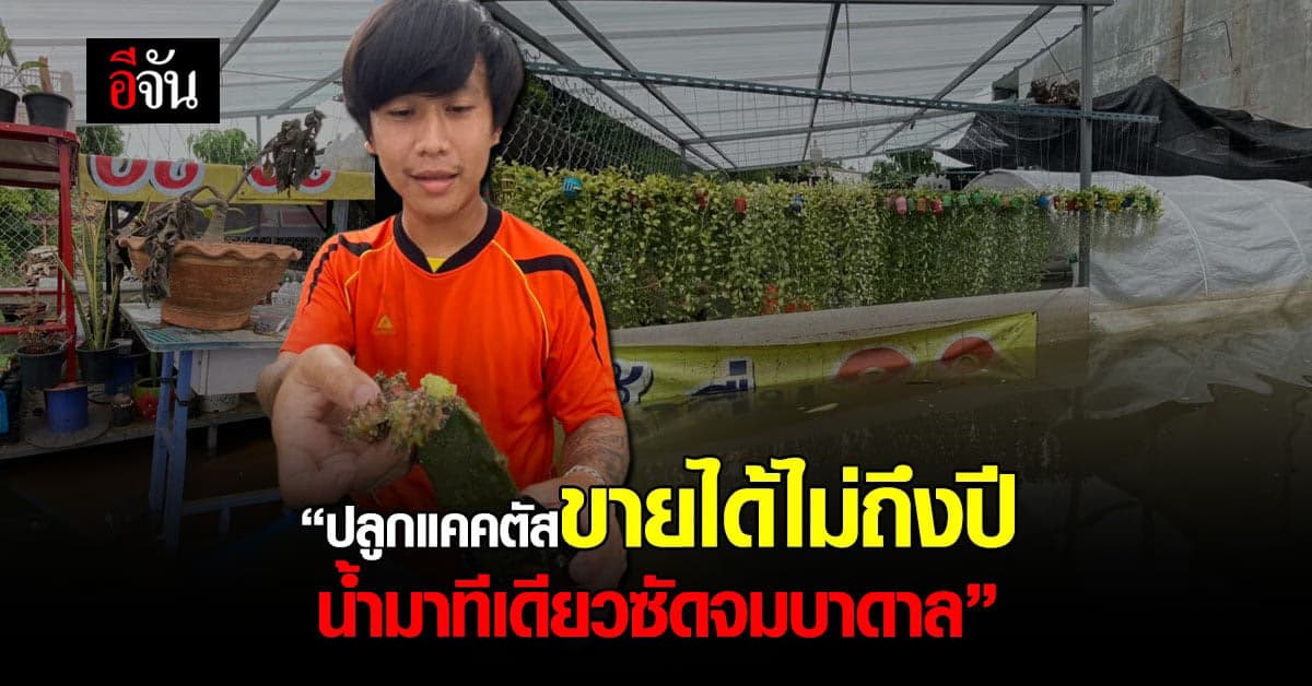 จุก! หนุ่มปลูก แคคตัส ขายไม่ถึงปี น้ำมาทีเดียวซัด แคคตัส จมบาดาล