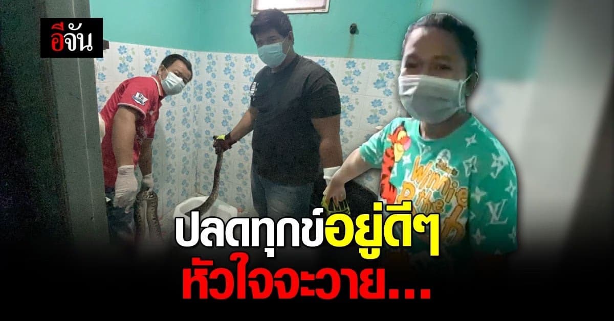 ป้าผวา งูเหลือมโผล่จากชักโครก