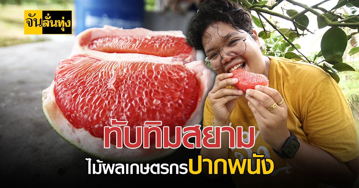 ส้มโอทับทิมสยาม ผลไม้สุดปัง! ของขึ้นชื่อชาวนครศรีฯ