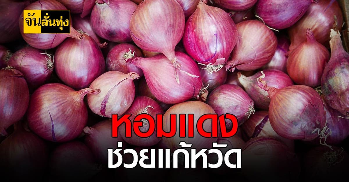 หอมแดง สมุนไพรสรรพคุณเริ่ด แก้หวัด แก้ไข้