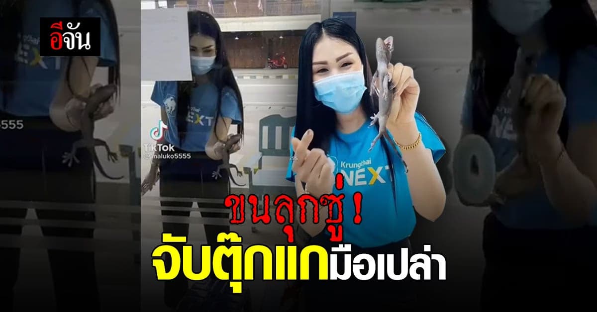 สาวใจกล้า! จับตุ๊กแกมือเปล่า เกาะประตูร้าน ขนลุกซู่