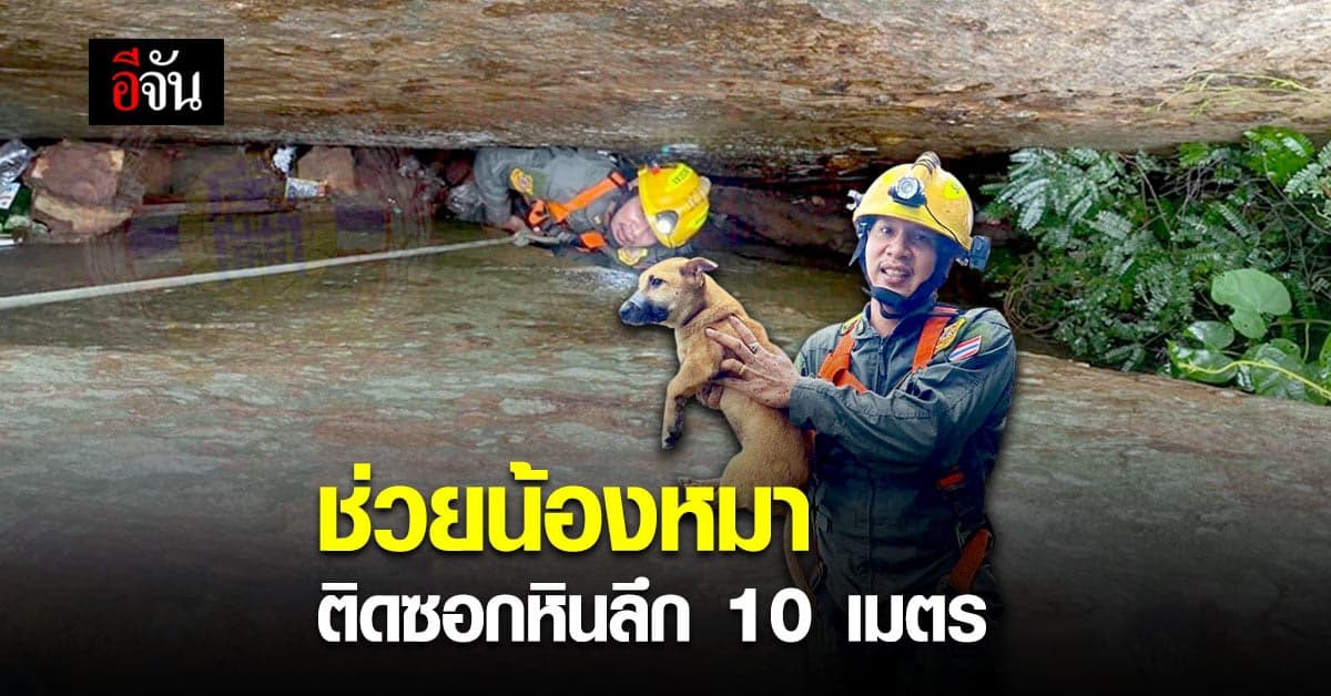 กู้ภัยโรยเชือก ลึก 10 เมตร ช่วยหมาติดซอกหิน