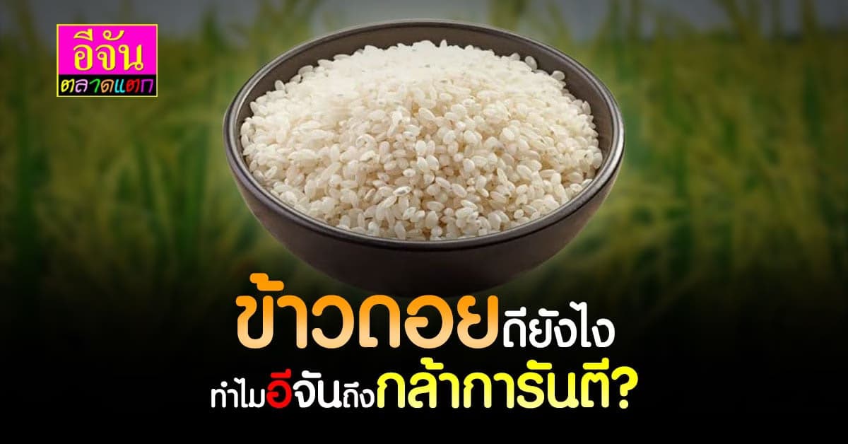 ข้าวดอยเม็ดสั้นกลม ไม่ผ่านการขัดสี หน้าตาไม่ดี เเต่โคตรมีประโยชน์