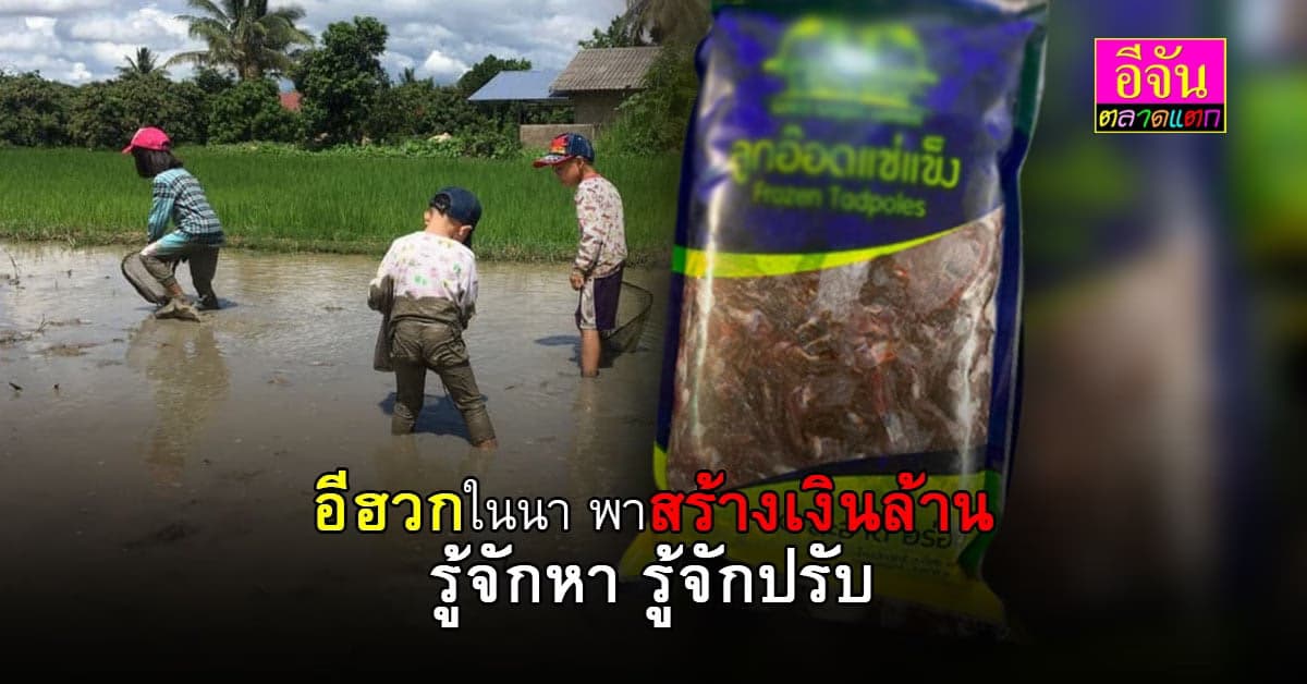 อีฮวกกบ รู้จักหา รู้จักปรับ รับเงินล้าน