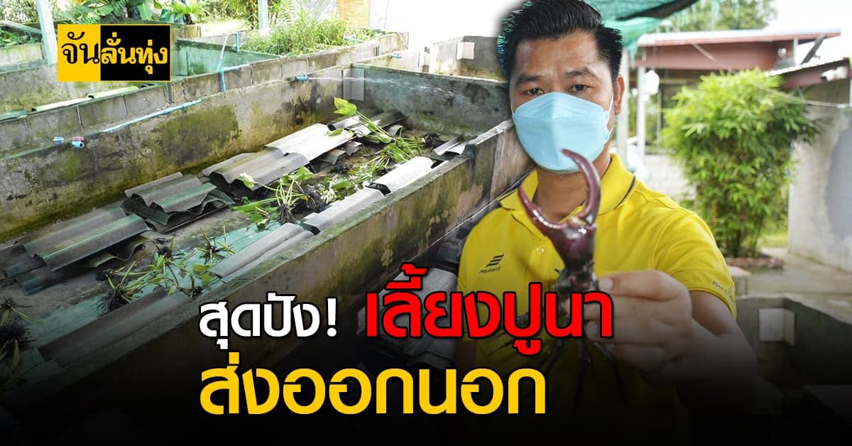 สุธีราฟาร์ม เลี้ยงปูนาส่งออกนอก สร้างรายได้นับไม่ถ้วน!