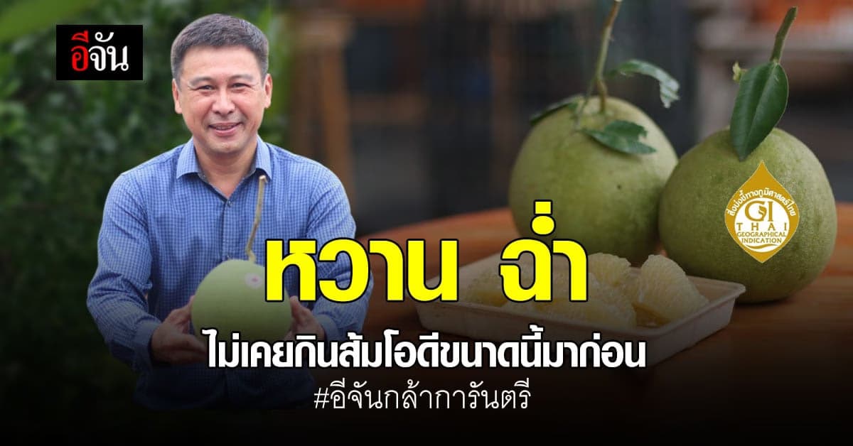 หวานฉ่ำ สมชื่อ ส้มโอขาวน้ำผึ้ง @มณฑลนครชัยศรี