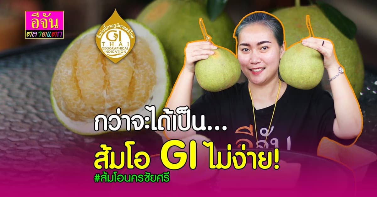 ส้มโอสินค้า GI ชื่อเรียกง่าย เเต่กว่าจะได้มาครองไม่ง่ายเลย