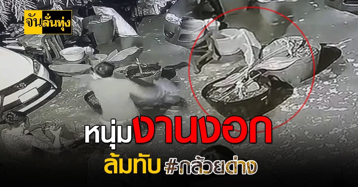 เจ้าของนั่งขำทั้งน้ำตา น้องชายสะดุด ล้มทับกล้วยด่างขาดสองท่อน